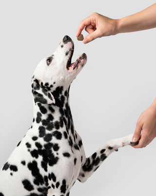 Fur & Skin aanvullend diervoeder voor honden voor een mooie vacht en gezonde huid Oggo 180 g - 6