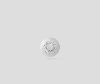 Grijze platinum kleurlenzen voor een maand, grey moons no.2 Ovio - 3